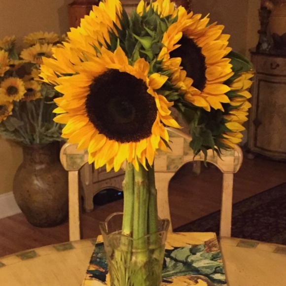 Meet your Posher, Randi - Picture 1 of 1